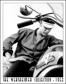 Tin Sign Wertheimer - Elvis on Bike