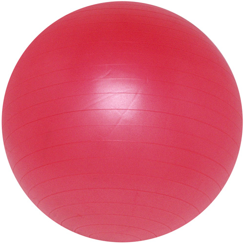 Stamina 05-1075R Premium Workout Ball 75 cm