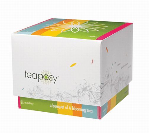 Teaposy TP07ME Medley 6 Assorted Teaposies