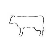 Kaiser 611792 Cow Cookie Cutter