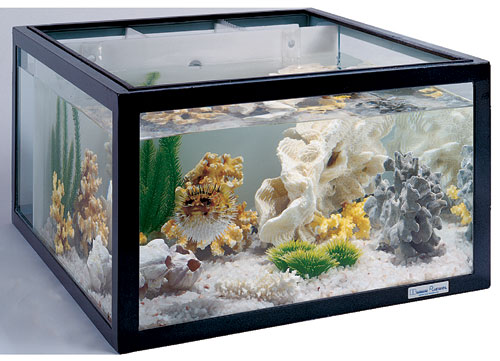 Hubbard Scientific 35125 Oceanic Saltwater Aquarium, 25 Gallon