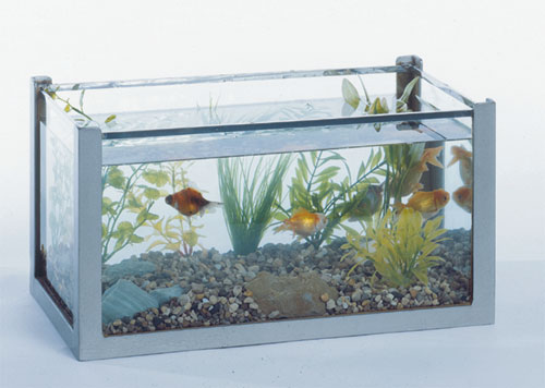 Hubbard Scientific 40101 Aquarium 6 Gal. with cover 18 InchX10 InchX10 Inch