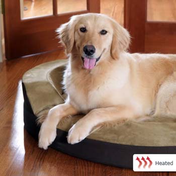 Heated Dog Beds - Dolce Vita DV40304 Dolce Vita Med Oval Cushion Heated Dog Bed 30" X 26"