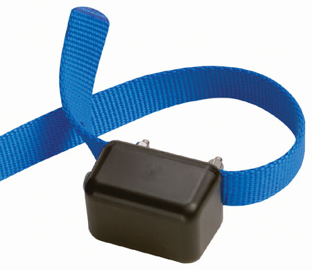 Innotek BC200 Innotek Professional Microline No Bark Collar