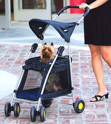 outward hound pet stroller