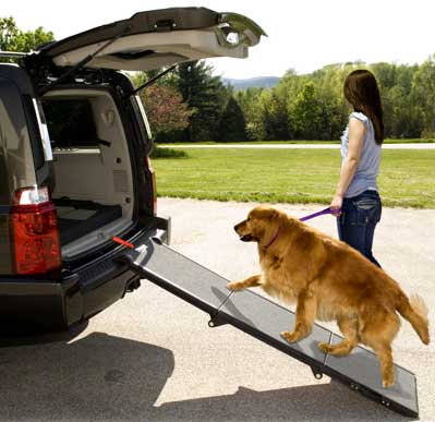 Click here to buy Pet Gear PG9300DR Portable Pet Ramp by Pet Gear.
