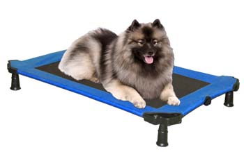 Click here to buy Pet Gear PG6300BS Medium Portable Pet Cot In Blue... by Pet Gear.