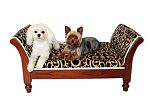 Day Beds - S And H Pet Products SHPF1003 Pet Day Bed