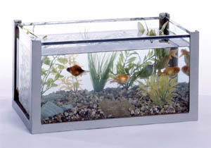 Hubbard Scientific 40121 Aquarium 20 Gal with cover- 24 InchX12 InchX16 Inch