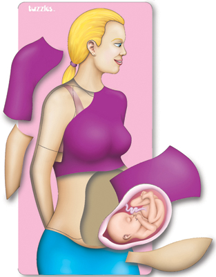 Click here to buy Tuzzles 8-DL4020-002 Pregnancy Puzzle by Tuzzles.