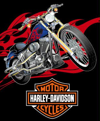 Collectibles Harley Davidson - HARLEY DAVIDSON 79925 MICRO SUPER PLUSH RASCHEL THROW-BLANKET