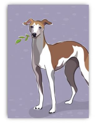 Paper Russells PAPRG582 Grrreen Greeting Card 4.5x6.5 Inch - Italican Greyhound - B Day