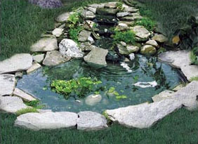 Winged Aquatics CSB-011 Bird Pond with 3 Tier Cascade