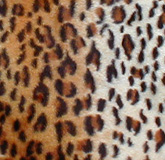 Luxury Pet Beds - Favorite Pet Products TD42OCL Tiger Dreamz Luxury Bed 39x30 Ocelot
