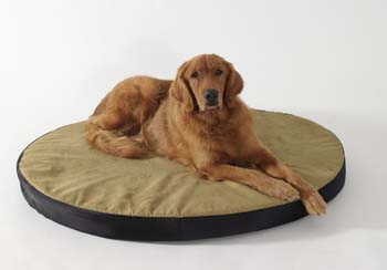 Heated Dog Beds - Dolce Vita DV40305 Dolce Vita Lg Oval Cushion Heated Dog Bed 41" X 30"