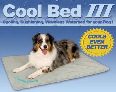 Pet Bed - K And H Manufacturing KH1700-III Cool Bed III Thermoregulating Pet Bed Small 17 X 24 Inch