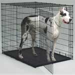 Midwest Metals 1154U 1154U Big Dog - Dog Crate Big Dog Crate 54In L X 35In W X 45In H