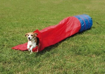 PetSafe PDT00-11029 Petsafe Agility 3' Closed Tunnel