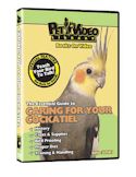 Primo Pet 212 71581 0 Entertaining and Educational Cockatiel DVD