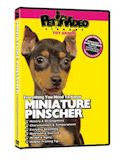 Primo Pet 246 71523 0 Miniature Pinscher DVD