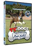 Primo Pet 280 71573 5 TV for Dogs DVD