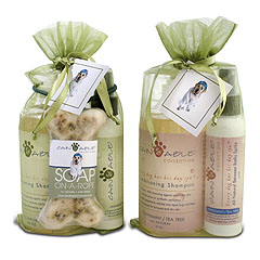 Cain and Able CA1007L Shampoo and Spritz Gift Set- Lavender