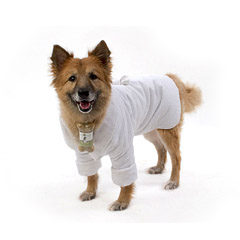 Cain and Able CA1053M Dog Robe- Medium