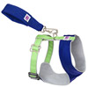 Doggles DOHAOHXX04 XXS Blue and Green Over the Head Harness