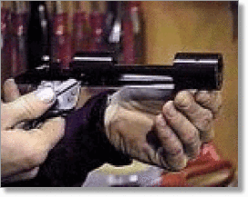 AGI X0084D DVD-AGI: Custom Barreling and Accurizing