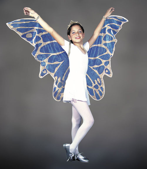 mrrs10874 Girls Fairy Costumes