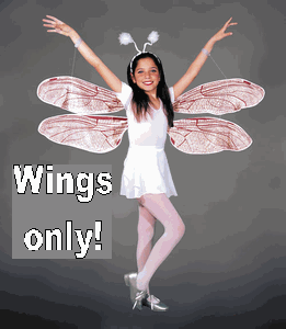 Costumes For All Occasions MR153002 Wings Childs Dragonfly