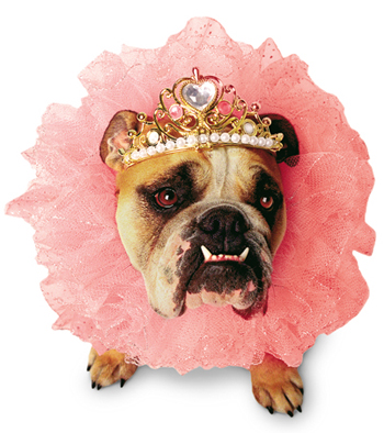 Costumes For All Occasions PM858000 Zelda Queen Pet sm