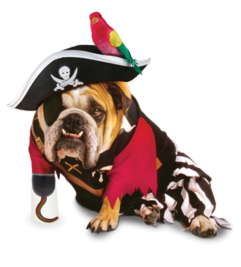 Costumes For All Occasions PM858003 Zelda Pirate Pet sm