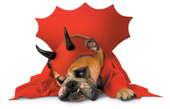 Costumes For All Occasions PM858013 Zelda Devil Pet Medium