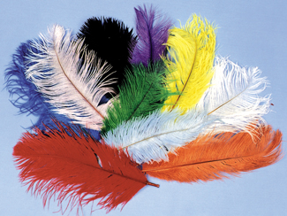 Bb05rd Ostrich Plumes 12 To 16in Red
