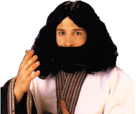 Costumes For All Occasions CA113BK Biblical Beard and Wig Black