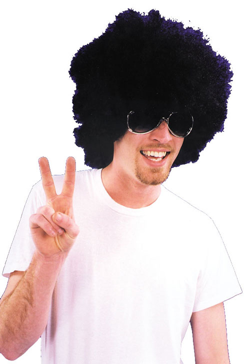 Costumes For All Occasions CA15BK Afro Wig Black
