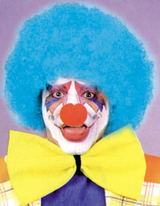 Costumes For All Occasions CA15BU Afro Wig Blue
