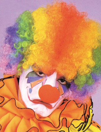 Costumes For All Occasions CA15MT Afro Wig Rainbow
