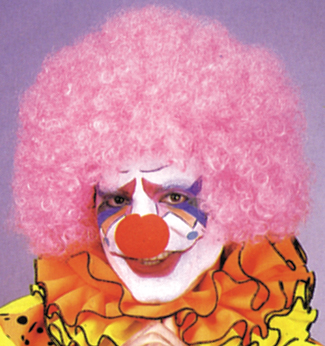 Costumes For All Occasions CA15PK Afro Wig Pink