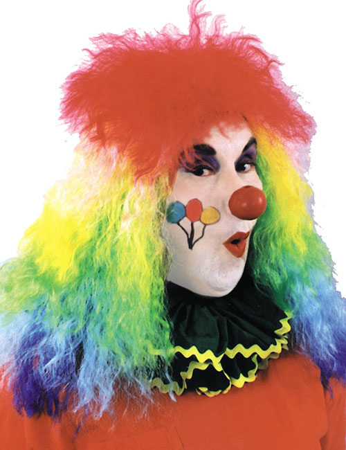 Costumes For All Occasions CA92 Wig Clown Rainbow