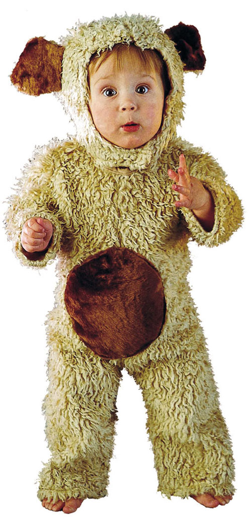 Costumes For All Occasions CS106TL Bear Oatmeal Toddler 2 To 4