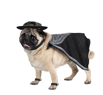 Costumes For All Occasions DG5046L Zorro Pet Costume Size Large