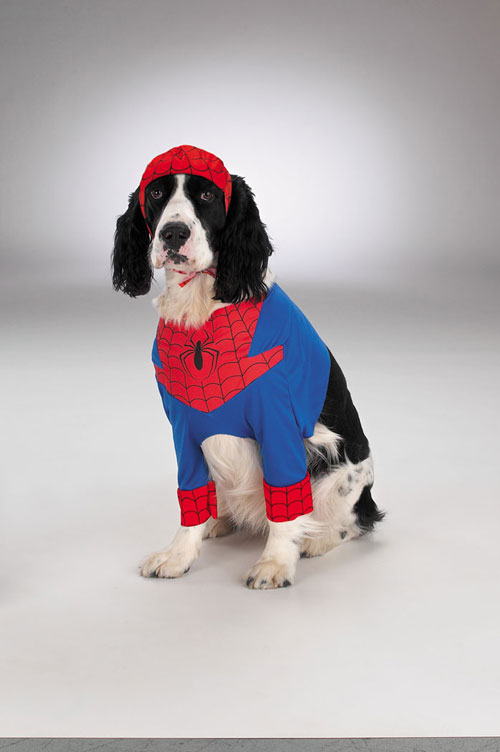 Costumes For All Occasions DG5800L Spiderman Dog Large