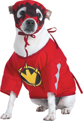 Costumes For All Occasions DG5936M Power Rngr Trex Pet Med Rd