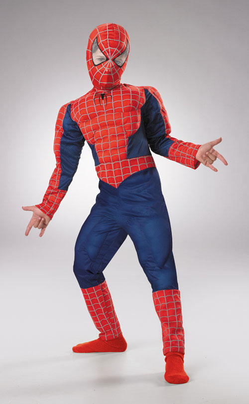 Costumes For All Occasions DG6615J Spiderman Deluxe Child 14 To 16