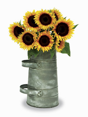 Achla Designs VCC01 Minuteman Coal Scuttle Pellet Galvanized Tin Antique Wash
