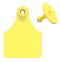 Blank Tags Yellow Large - Glf/gsmy