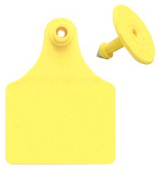 Female Blank Tags Yellow Large - Gxf/gsmy