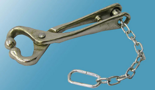 Ideal Bull Lead With Chain - 7001